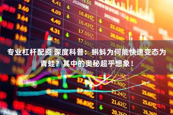 专业杠杆配资 深度科普:蝌蚪为何能快速变态为青蛙?其中的奥秘超乎想象!