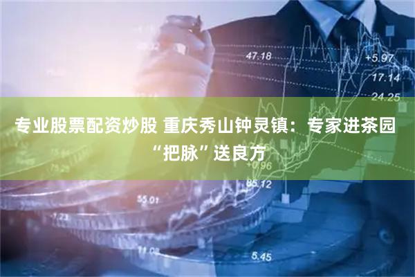 专业股票配资炒股 重庆秀山钟灵镇：专家进茶园 “把脉”送良方