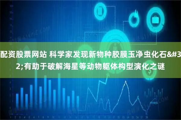 配资股票网站 科学家发现新物种胶膜玉净虫化石 有助于破解海星等动物躯体构型演化之谜